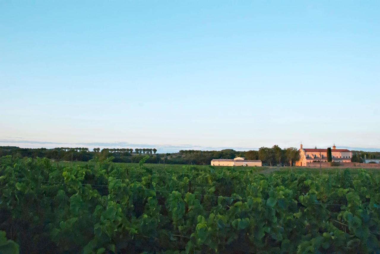 Chartreuse De Mougeres - Caux Pezenas Bed & Breakfast Luaran gambar